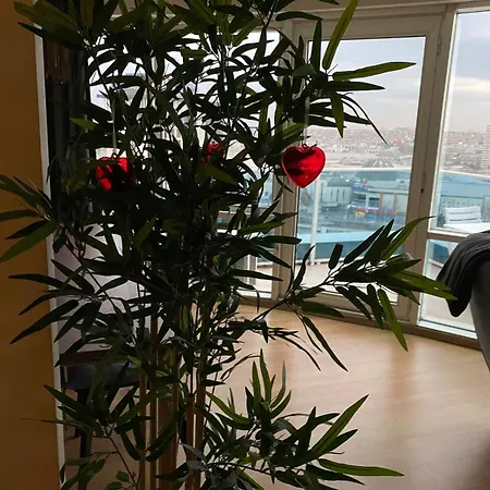 Minimum 100 Nights Welcome To Our Large Duplex Penthouse Comfy Amenities Nearby!